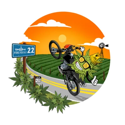 STICKER PPR - ORO VERDE