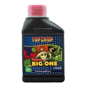 BIG ONE 250ML - TOP CROP