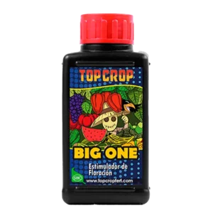 BIG ONE 100ML - TOP CROP