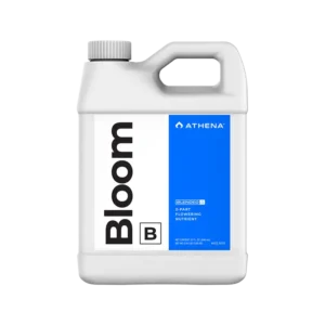 BLOOM B 946ML (32OZ) - ATHENA